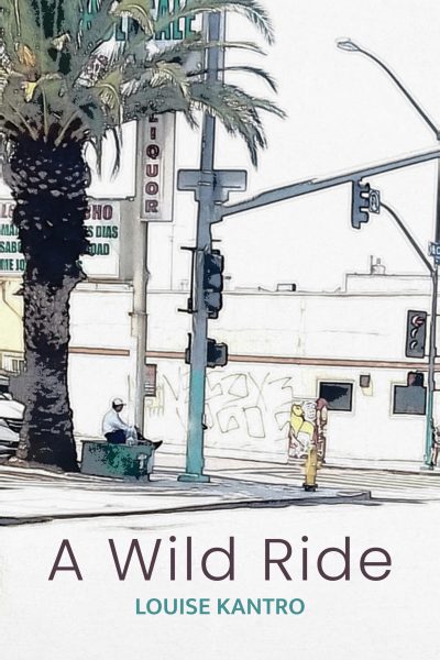 a wild ride full