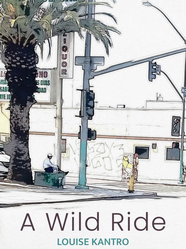 a wild ride full